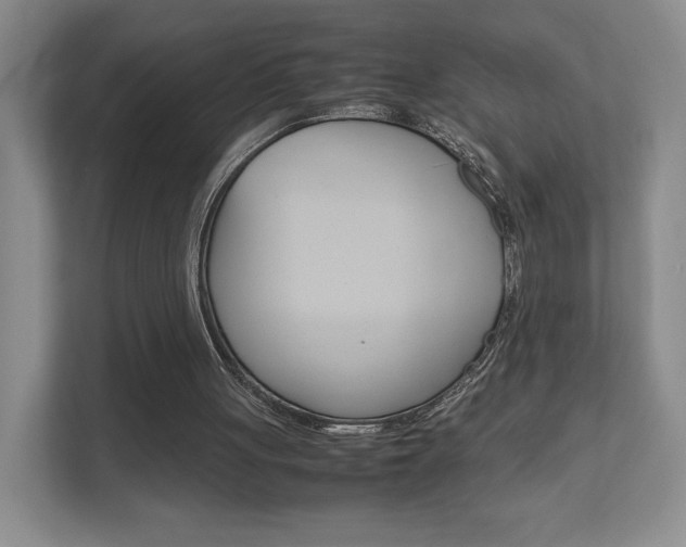X0000111810051200907231024