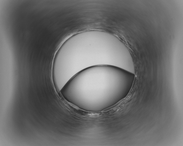 X0000111810052200907231024