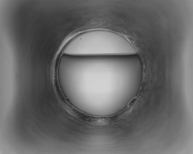 X0000111810056200907231024