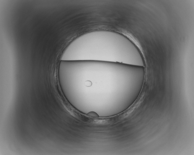 X0000111810057200907231024