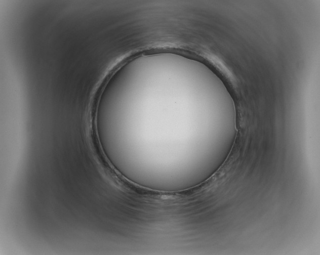 X0000111810060200907231024