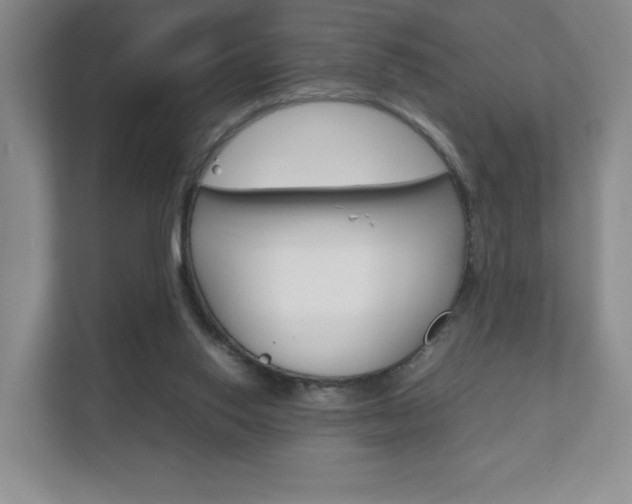 X0000111810062200907231024