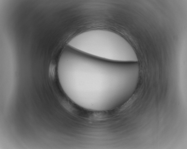 X0000111810070200907231024