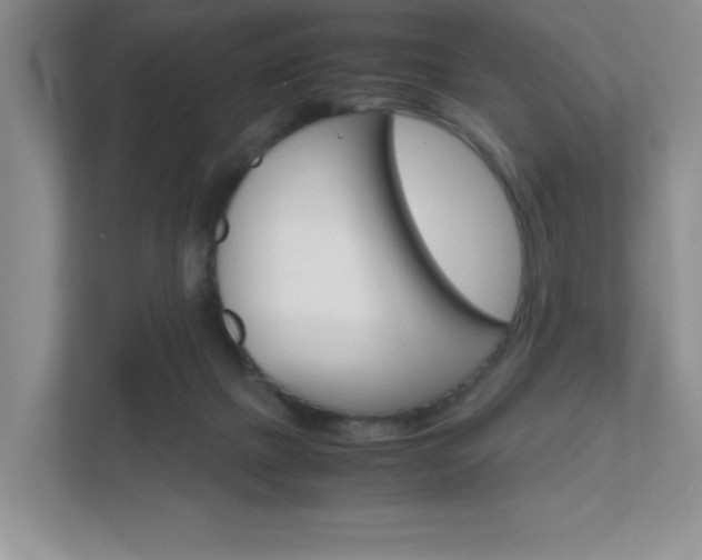 X0000111810073200907231024