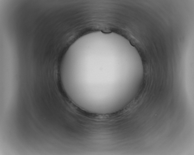 X0000111810080200907231024