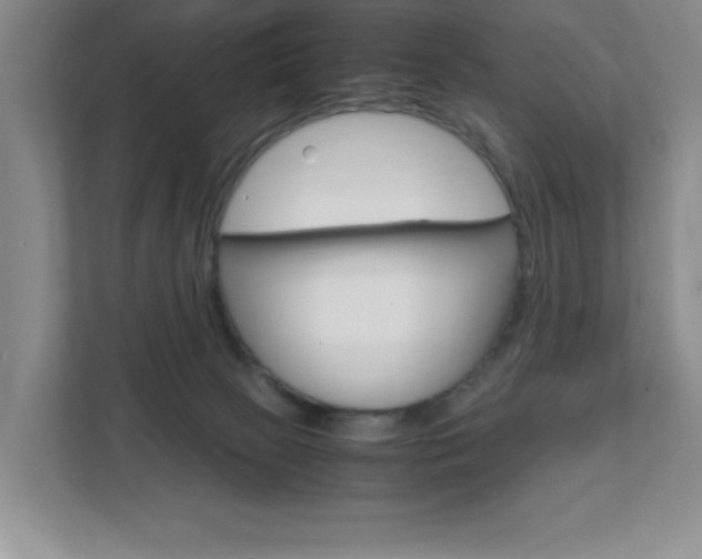 X0000111810081200907231024