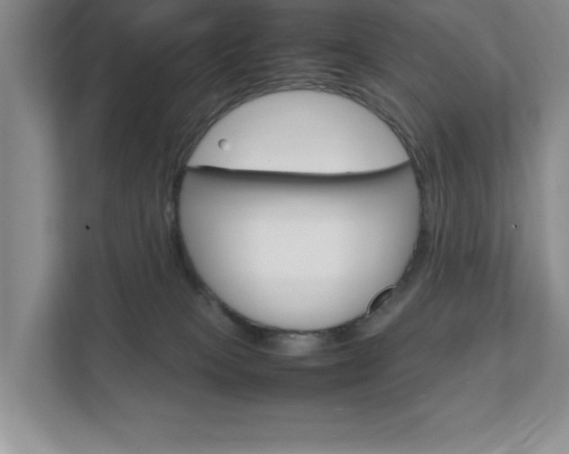X0000111810085200907231024