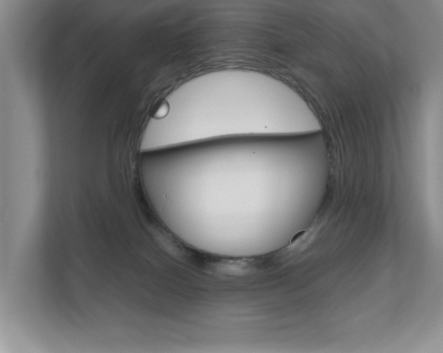 X0000111810086200907231024
