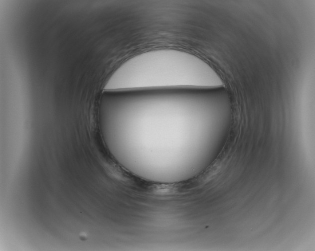 X0000111810088200907231025