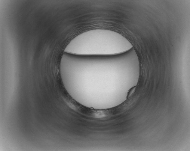 X0000111810091200907231025