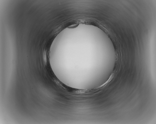 X0000111810094200907231025