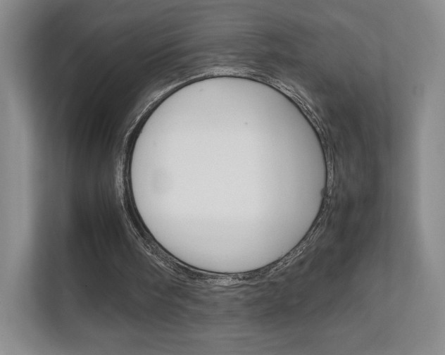 X0000111810098200907231024