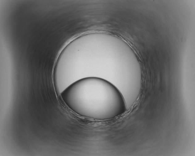 X0000111810100200907231024