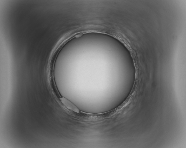 X0000111810101200907231024