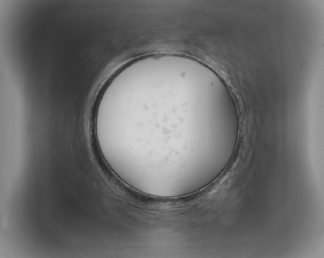 X0000111810103200907231024
