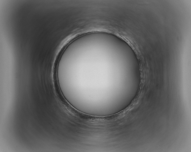 X0000111810104200907231024