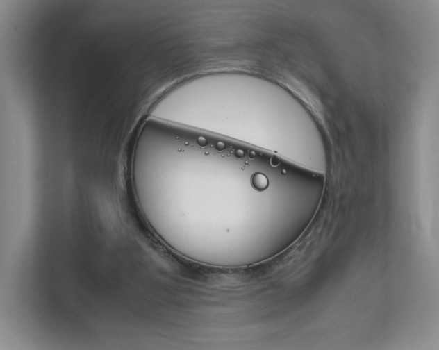 X0000111810107200907231024