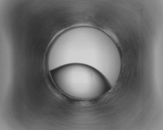 X0000111810108200907231024