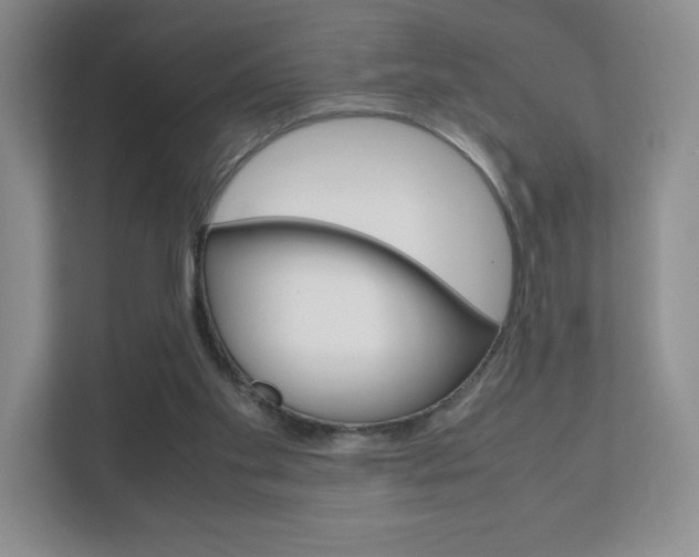 X0000111810109200907231024