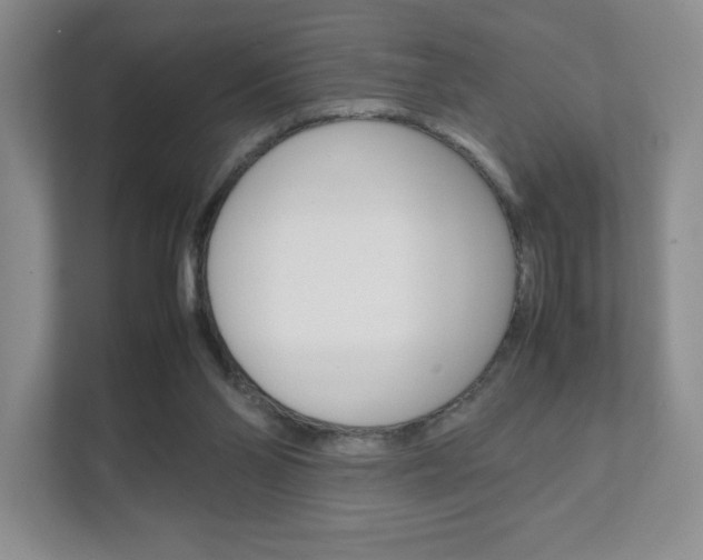 X0000111810110200907231024