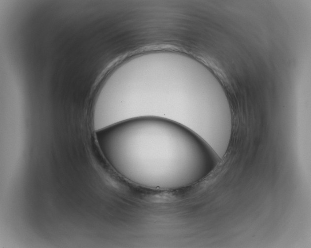X0000111810112200907231024