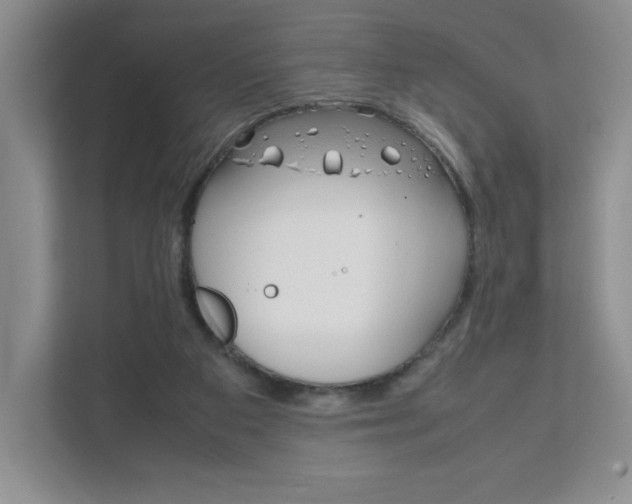 X0000111810113200907231024