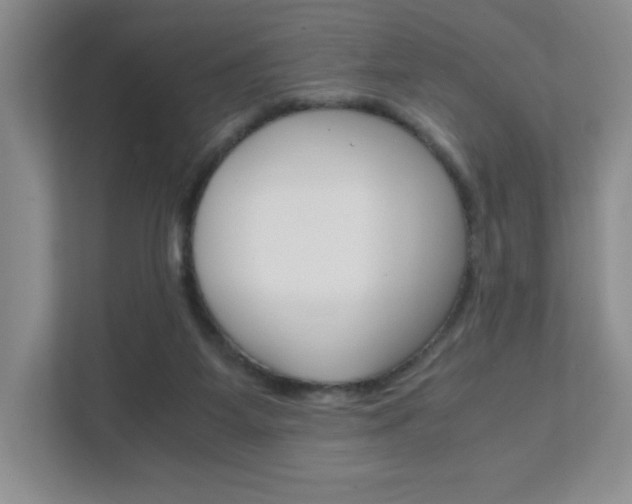 X0000111810115200907231024