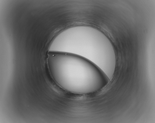 X0000111810116200907231024