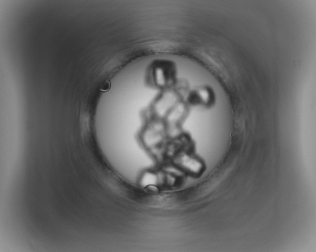 X0000111810117200907231024