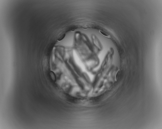 X0000111810121200907231024