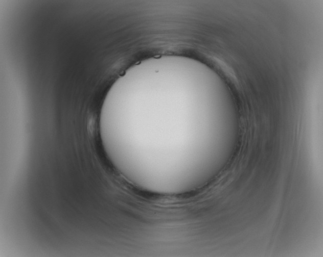 X0000111810123200907231024
