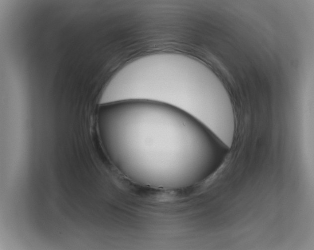 X0000111810124200907231024