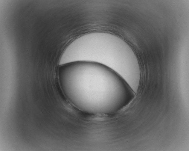 X0000111810128200907231024