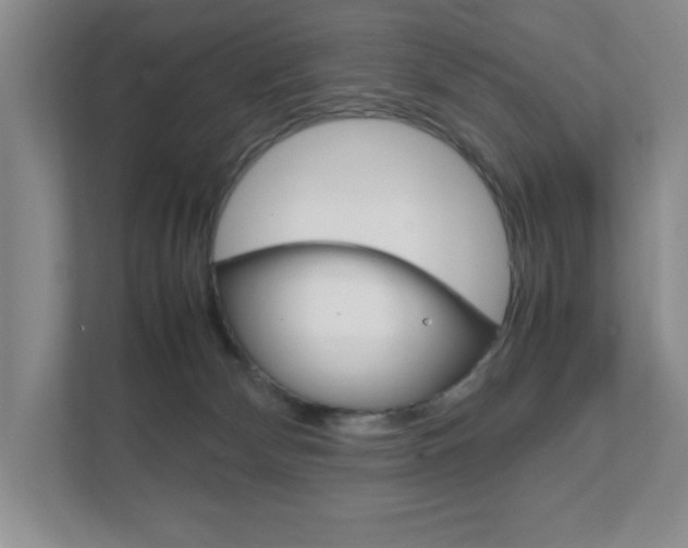 X0000111810132200907231024