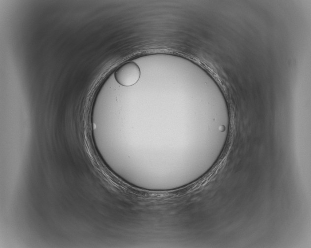 X0000111810145200907231023