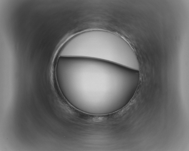 X0000111810152200907231023