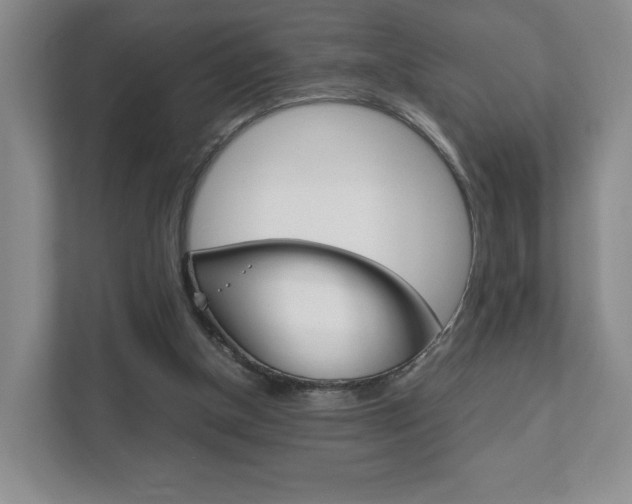 X0000111810154200907231023