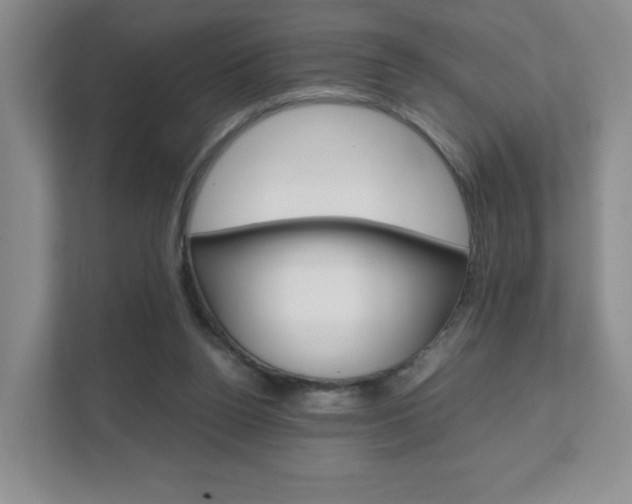X0000111810160200907231023