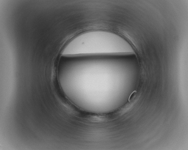 X0000111810164200907231023