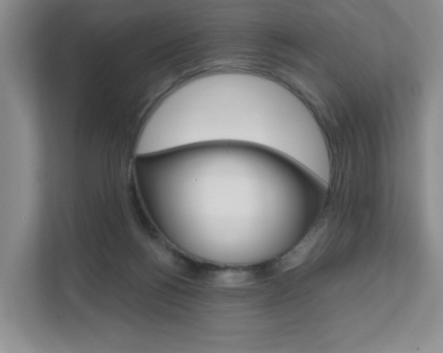 X0000111810168200907231023