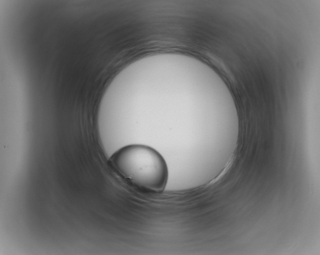 X0000111810170200907231023