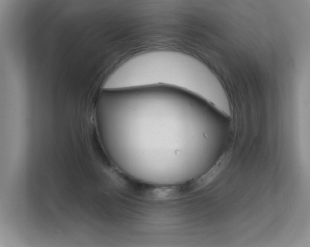 X0000111810172200907231023