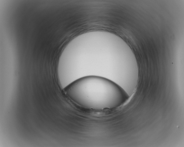 X0000111810174200907231023
