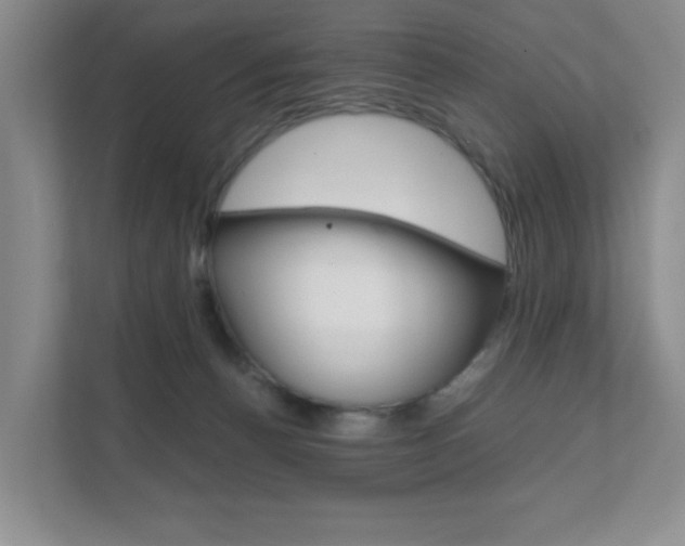 X0000111810176200907231023