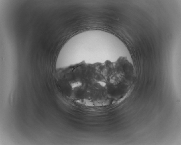 X0000111810183200907231023