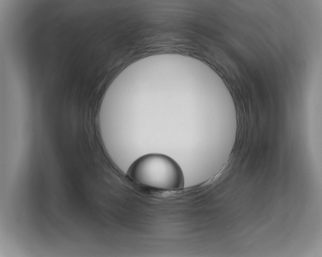 X0000111810184200907231023