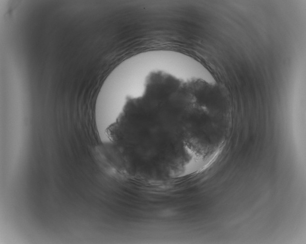 X0000111810187200907231023
