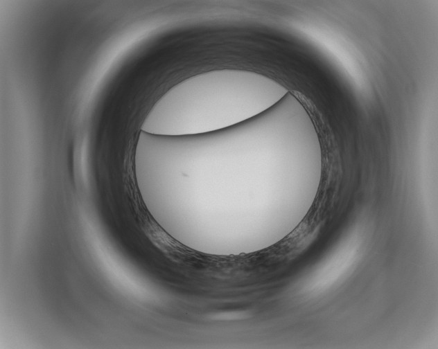 X0000111810189200907231023