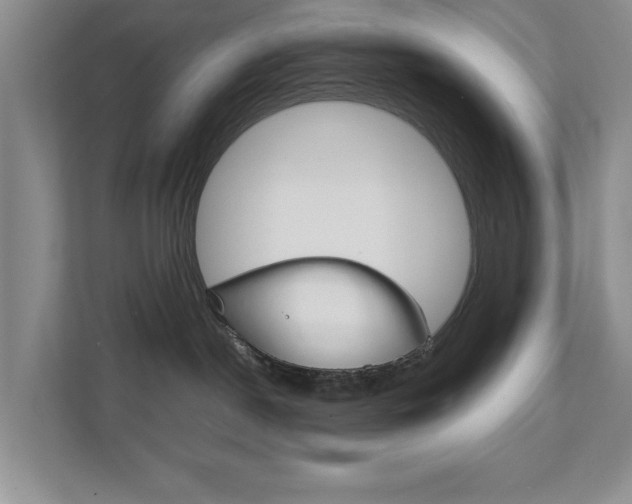 X0000111810190200907231023