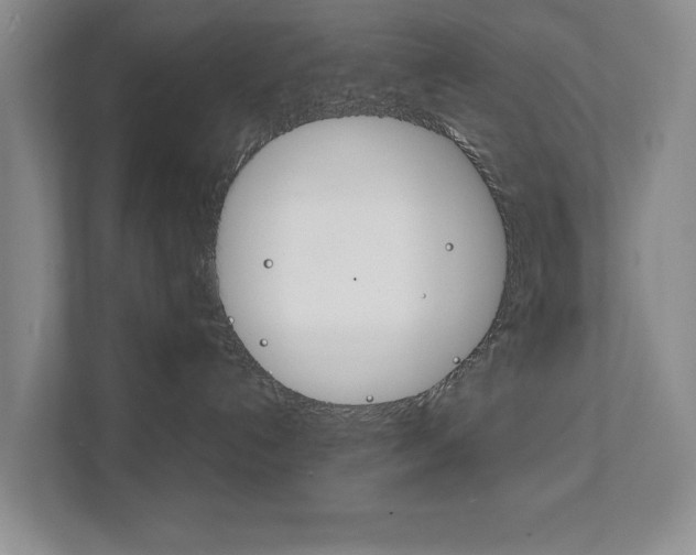 X0000111810192200907231023